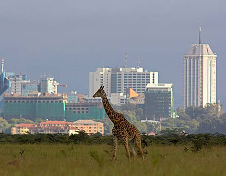 1-day-nairobi-safari-1-day-nairobi-city-tour
