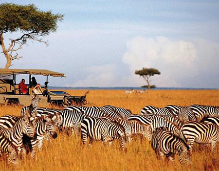 2-days-maasai-mara-safari