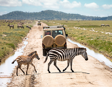 7-days-magical-kenya-tanzania-combined-safari