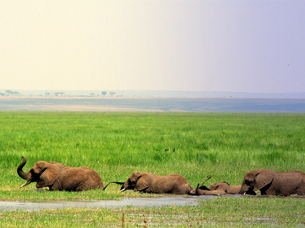 7-days-northern-circuit-tanzania-safari