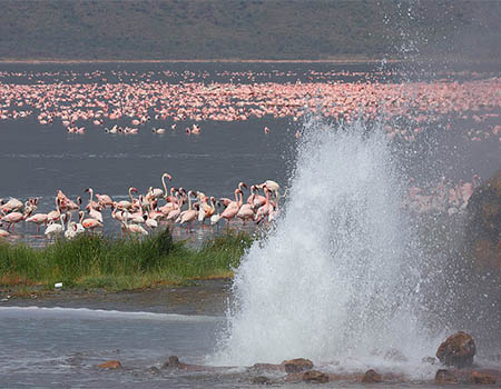 2-days-lake-bogoria-baringo-private-flamingos-safari