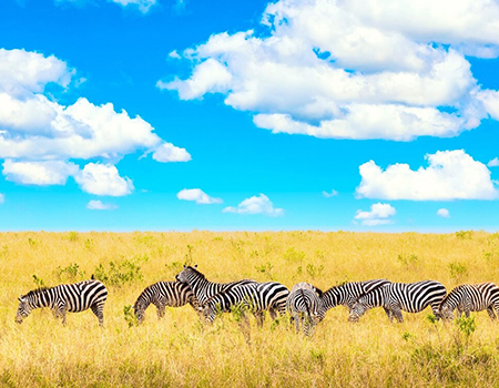 3-days-masai-mara-lodge-safari