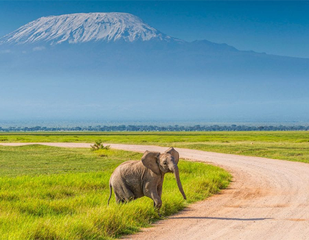 6-days-masai-mara-lake-nakuru-amboseli-budget-safari