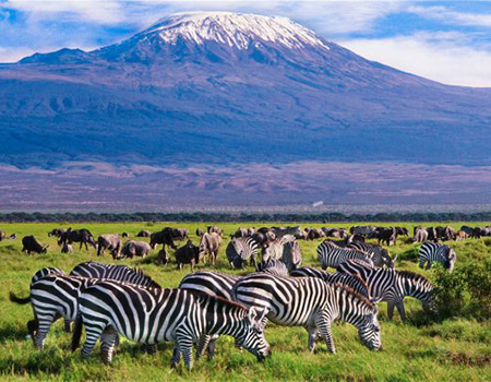 7-days-maasai-mara-lake-nakuru-lake-naivasha-amboseli-safari