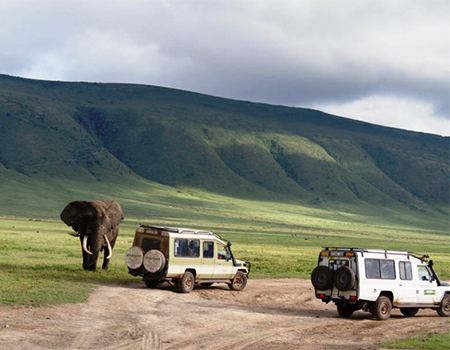 7-days-northern-circuit-tanzania-safari